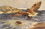 Eagle Canvas Paintings - A Sea Eagle Chasing Eider Duck